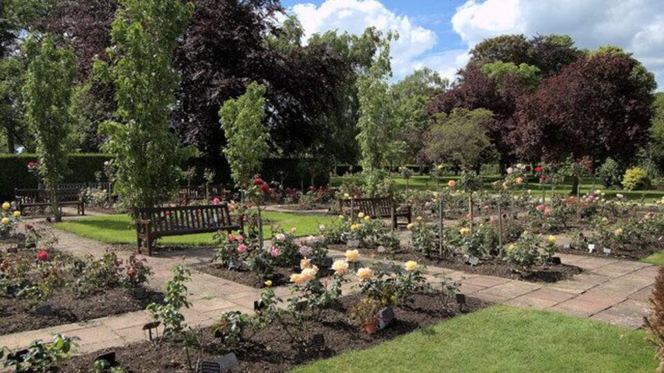 Rose memorials, Breakspear Crematorium, Ruislip