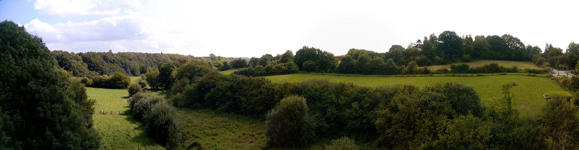 Grüner Winter - Stekendammsau [Kiel Friedrichsort 2000/12]