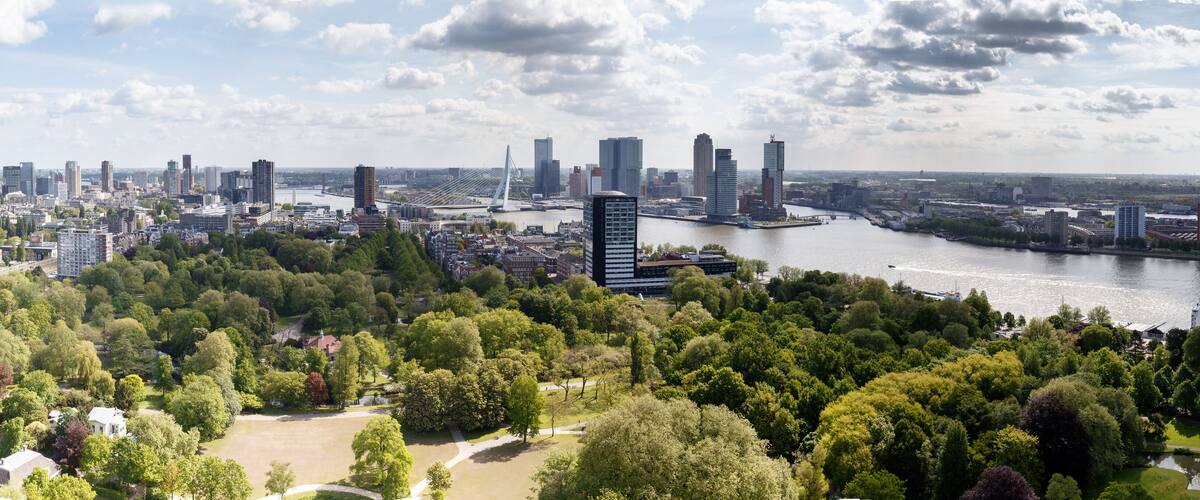 The Skyline of Rotterdam Holland