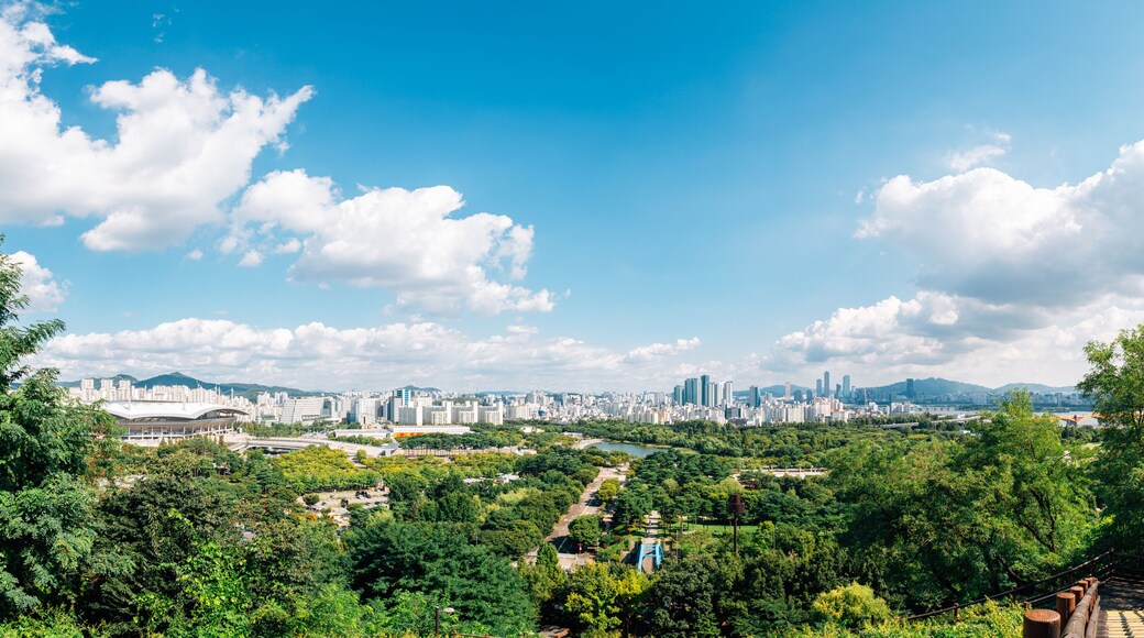 Panoramic view of Seoul city and green forest from Sky park in Korea