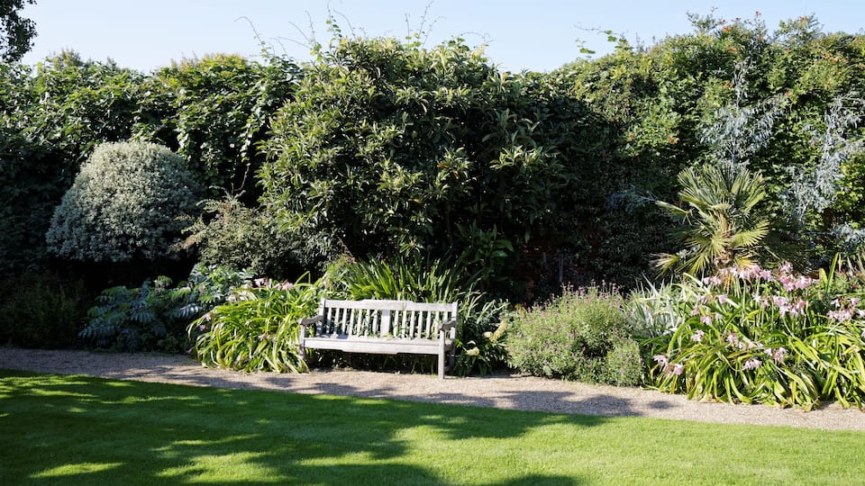 Un parc avec un banc en bois, entouré d’une végétation luxuriante et de plantes en fleurs.