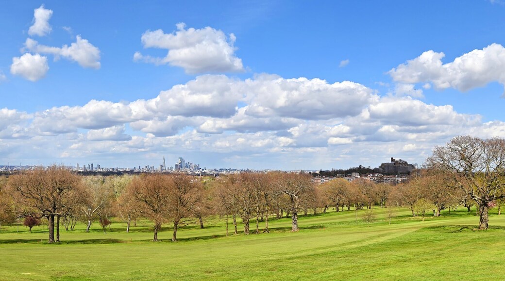 Panorama of London seen from Sydenham Hill in Dulwich. L-R: Croydon, Elephant and Castle, and City of London. Trees, grass, blue sky and clouds.
