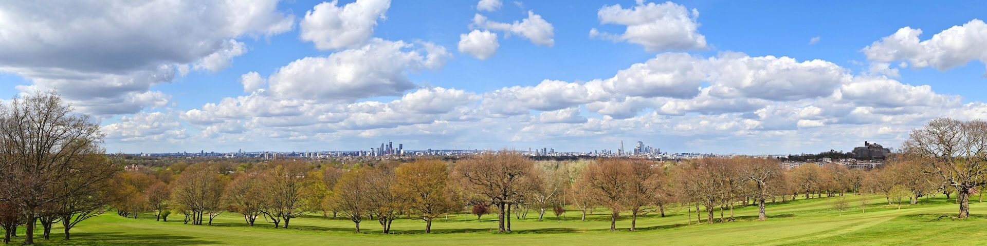 Un parc avec de l’herbe verte, des arbres et, en arrière-plan, la silhouette de la ville.