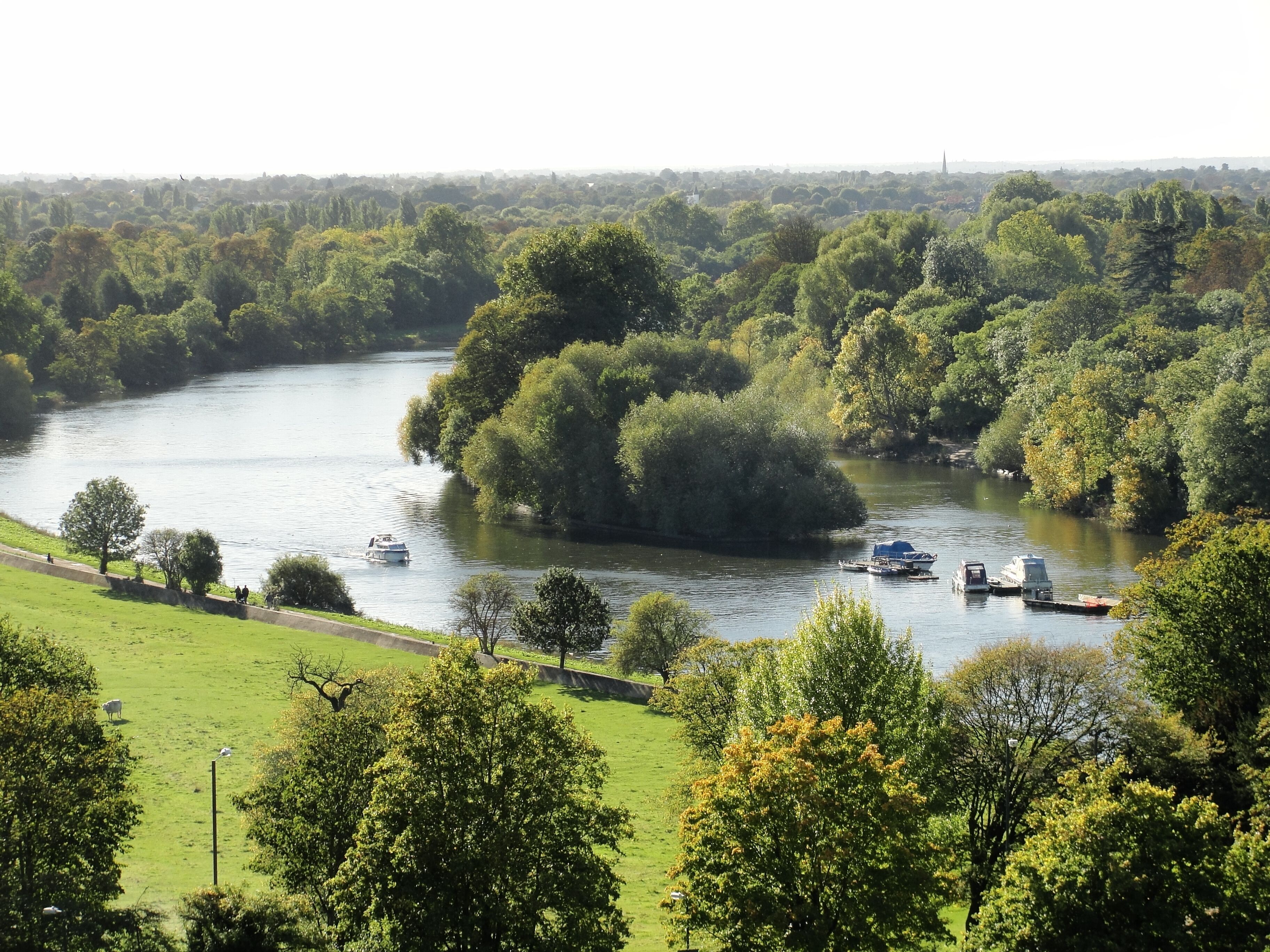 A View of The Thames from Richmond Hill