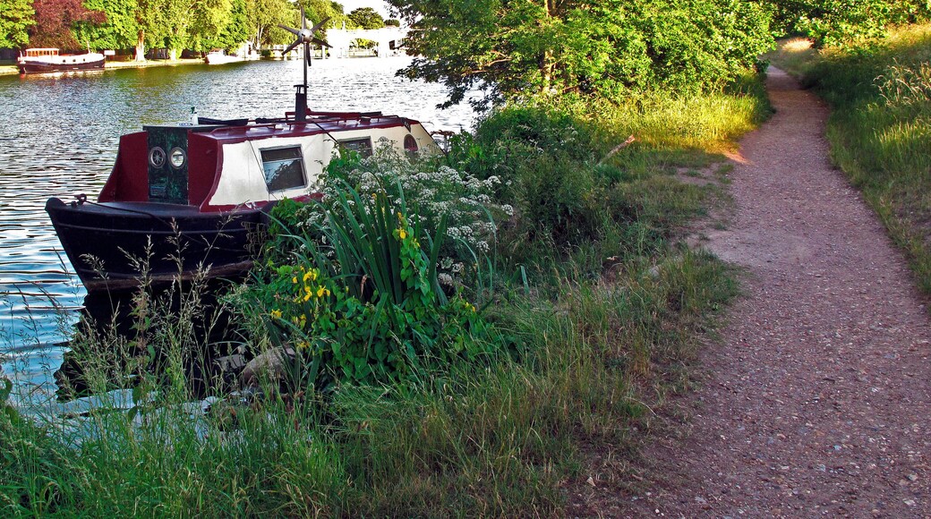 Approaching Teddington Lock.