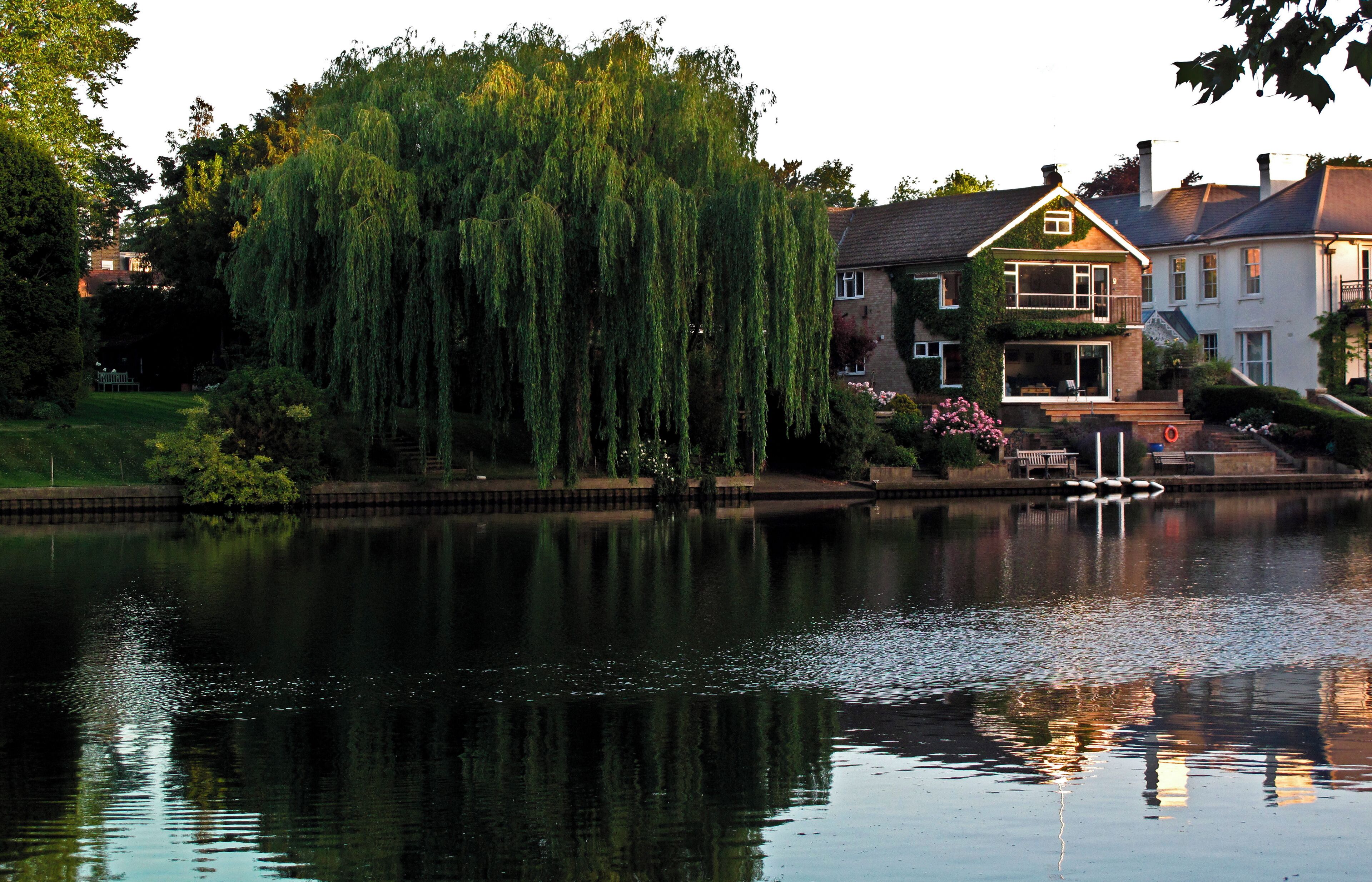 Early. The Thames near Teddington Lock.