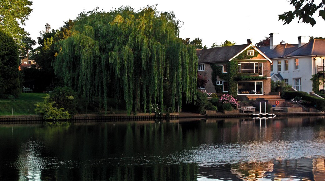 Early. The Thames near Teddington Lock.