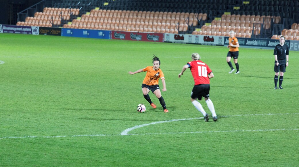 London Bees v Sheffield FC Ladies, 1 April 2017