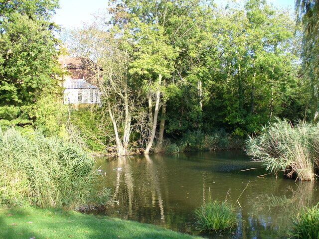 Fishponds Park, Tolworth Reflections in the pond in this small suburban park.
