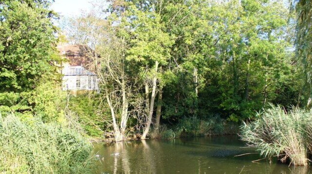 Fishponds Park, Tolworth Reflections in the pond in this small suburban park.