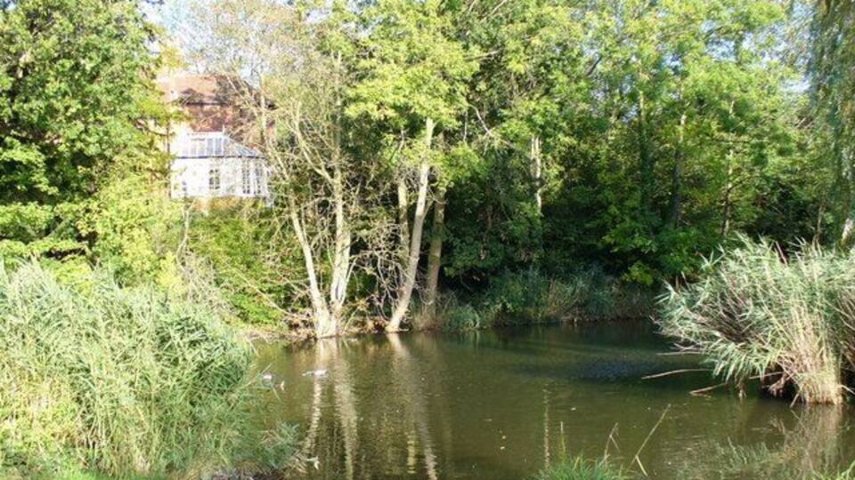 Fishponds Park, Tolworth Reflections in the pond in this small suburban park.