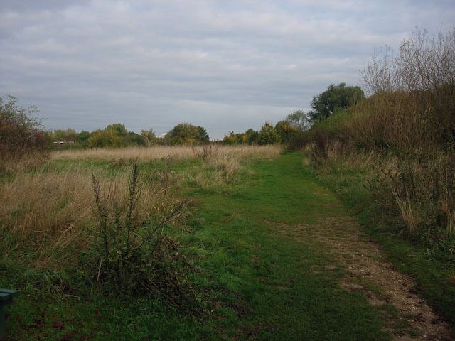 Riverside path Following the Hogsmill as far as the railway bridge.