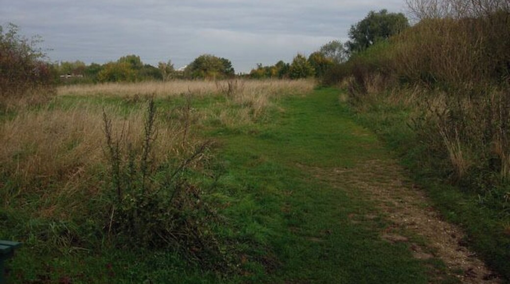 Riverside path Following the Hogsmill as far as the railway bridge.