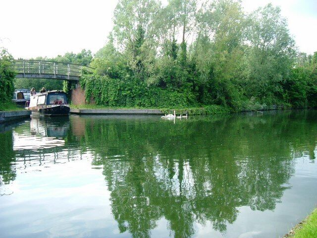 Willowtree Marina Those poor swans were minding their own business until the big bad barge moved them on.... either mum or dad was stranded behind the boat, but all met up afterwards