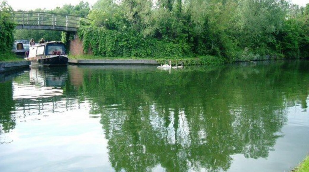 Willowtree Marina Those poor swans were minding their own business until the big bad barge moved them on.... either mum or dad was stranded behind the boat, but all met up afterwards