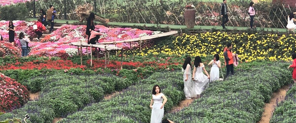 Everyday scenes of Vietnam before TET(Lunar New Year)