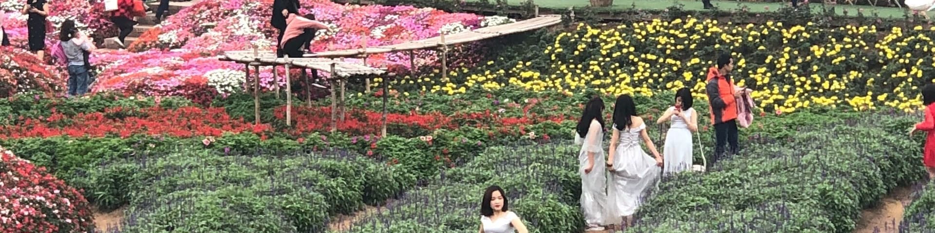 Everyday scenes of Vietnam before TET(Lunar New Year)