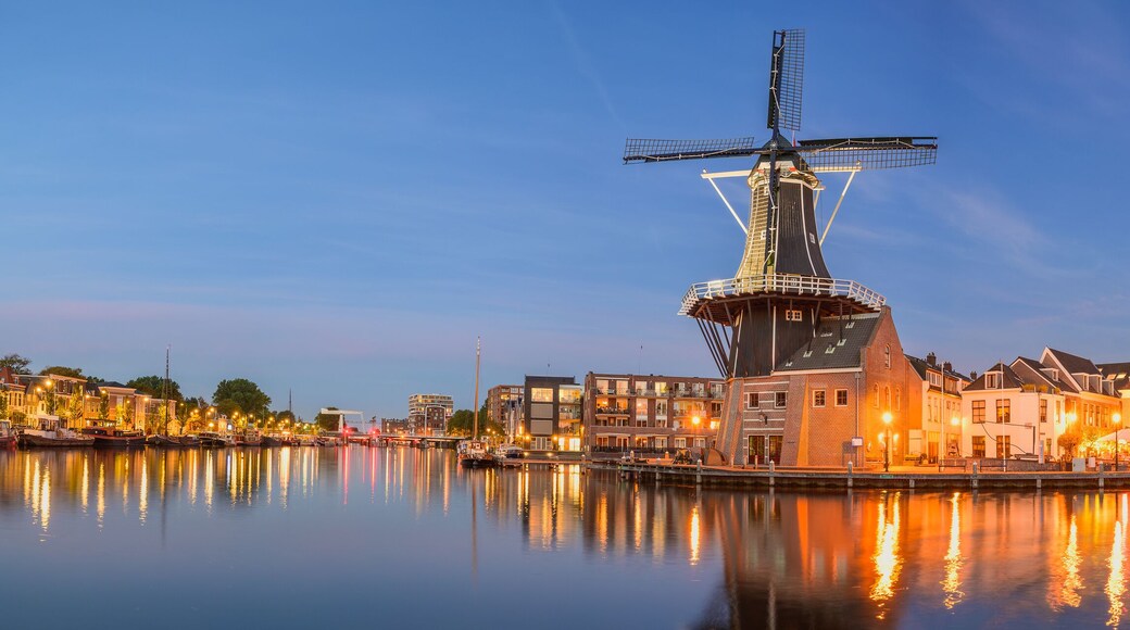 ์คํ
์ด์
์ค๋ถ๋ฅดํธ