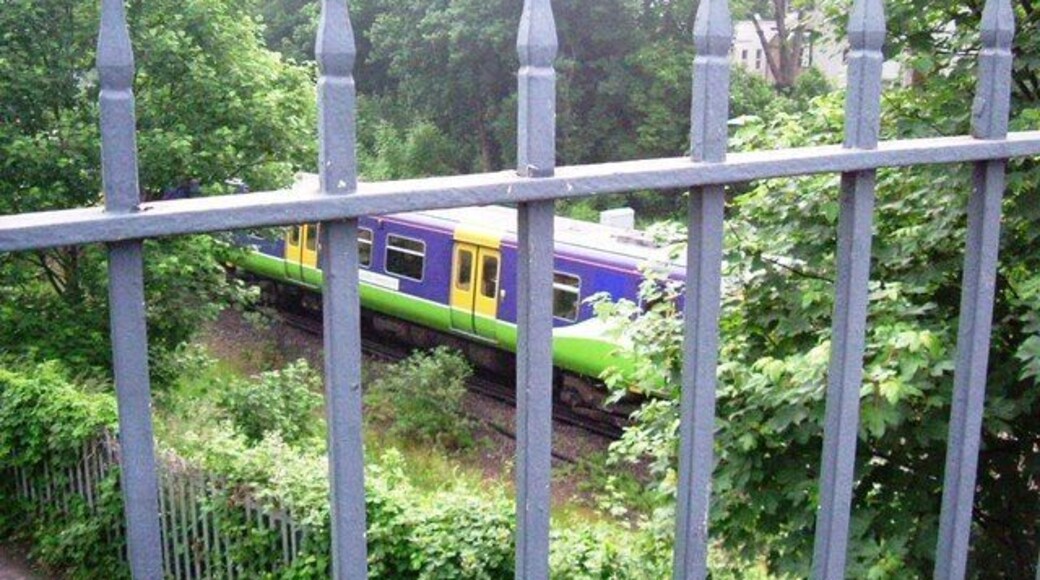 North London Line train, Chiswick Between Gunnersbury and Kew Gardens station.