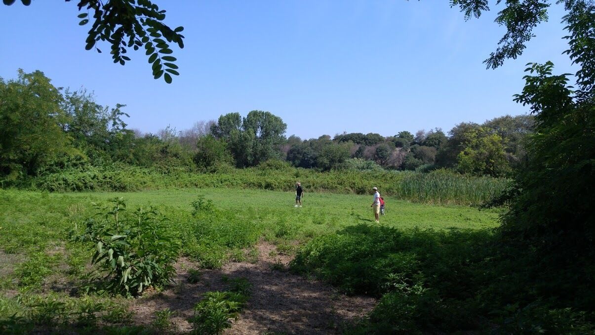 WMI and Archeo&Arte3D Lab (University of Rome "La Sapienza" - Archaeology) OSM mapping event in Rome, group C - Parco della Caffarella, 9-11 july 2016