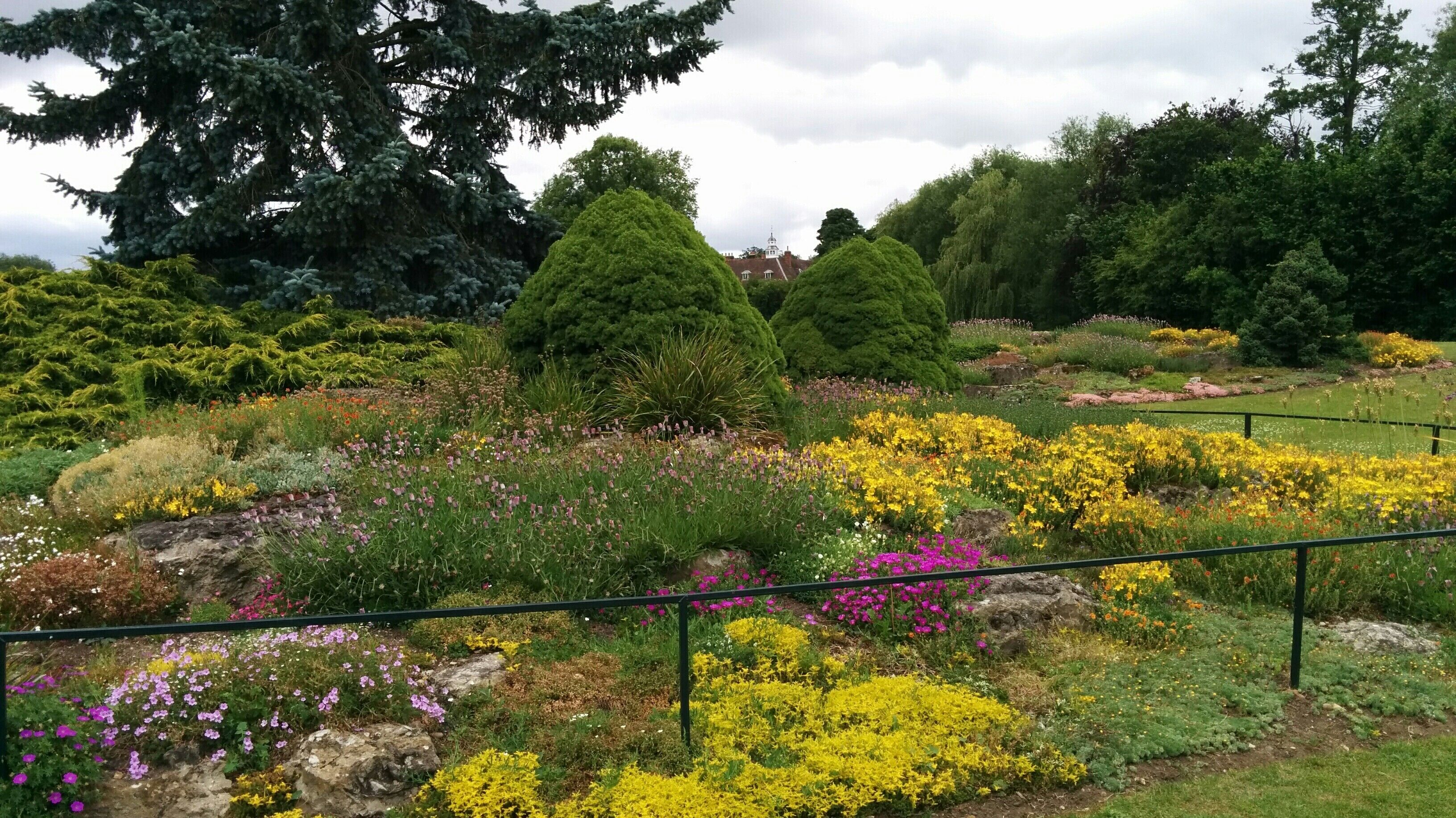 Hall Place Gardens 2014