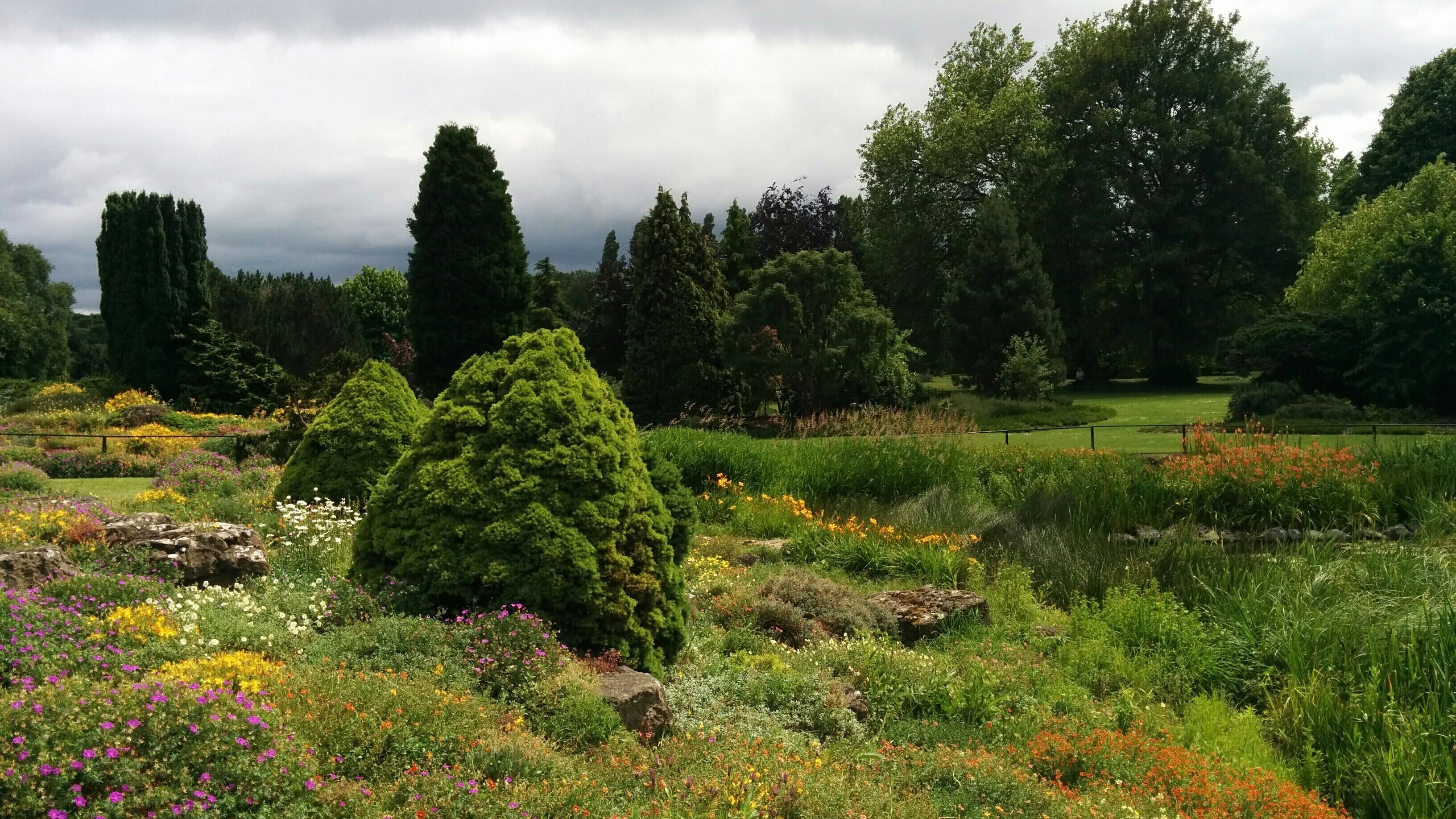 Hall Place Gardens 2014