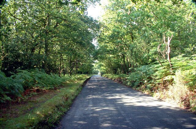 Prestons Road, Hayes Common BR2. This photograph taken looking southwest, near the busy A232 Croydon Road.