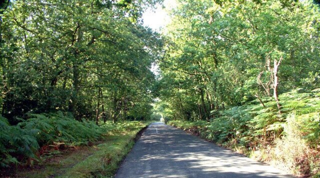 Prestons Road, Hayes Common BR2. This photograph taken looking southwest, near the busy A232 Croydon Road.