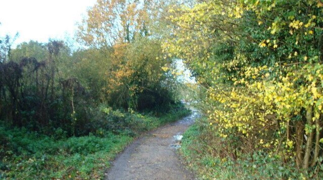 Footpath, Hayes, Kent