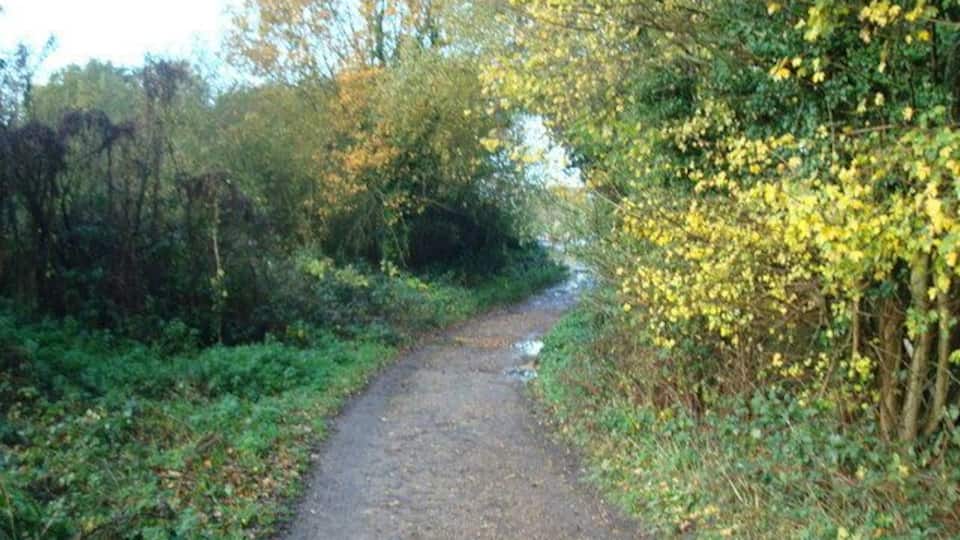 Footpath, Hayes, Kent