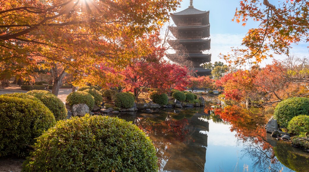The most beautiful viewpoint of Toji(To-ji) is a popular tourist destination in Kyoto, Japan.
