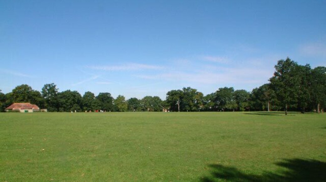 Farnborough Recreation Ground, BR6. Looking northwest near entrance in Lovibonds Avenue.