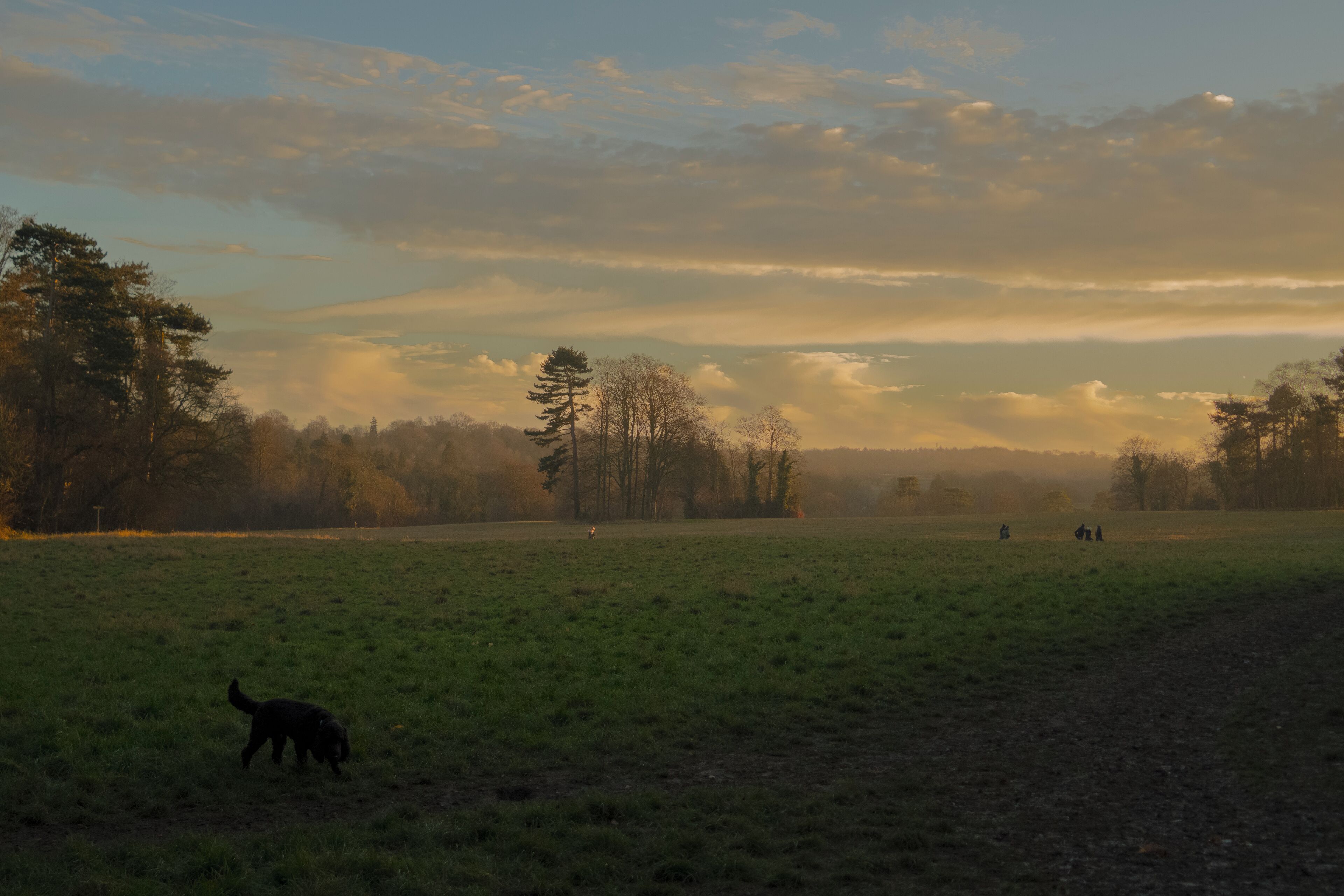 Looking south across fields from St Giles the Abbot church, Orpington