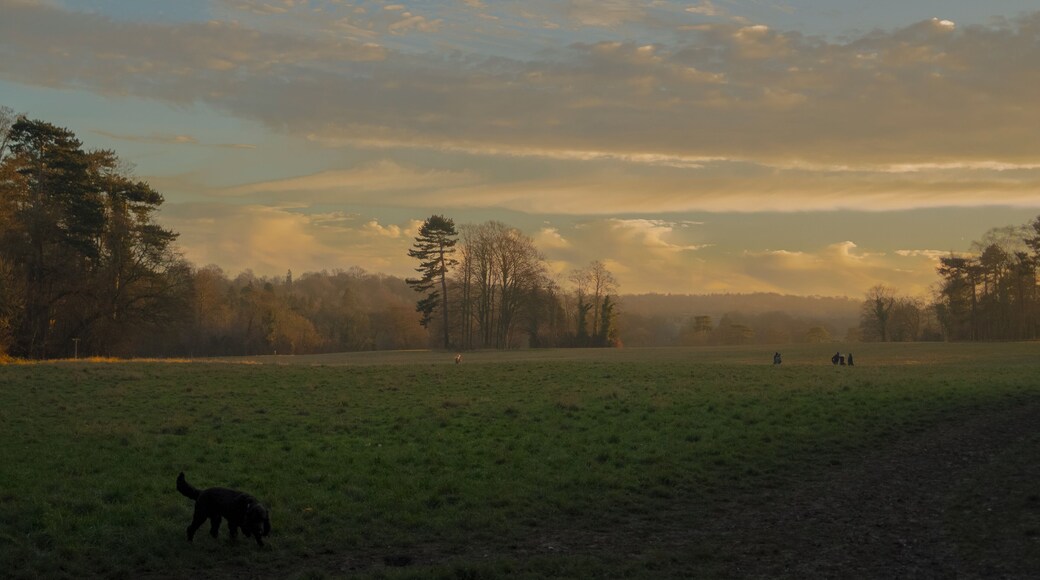 Looking south across fields from St Giles the Abbot church, Orpington