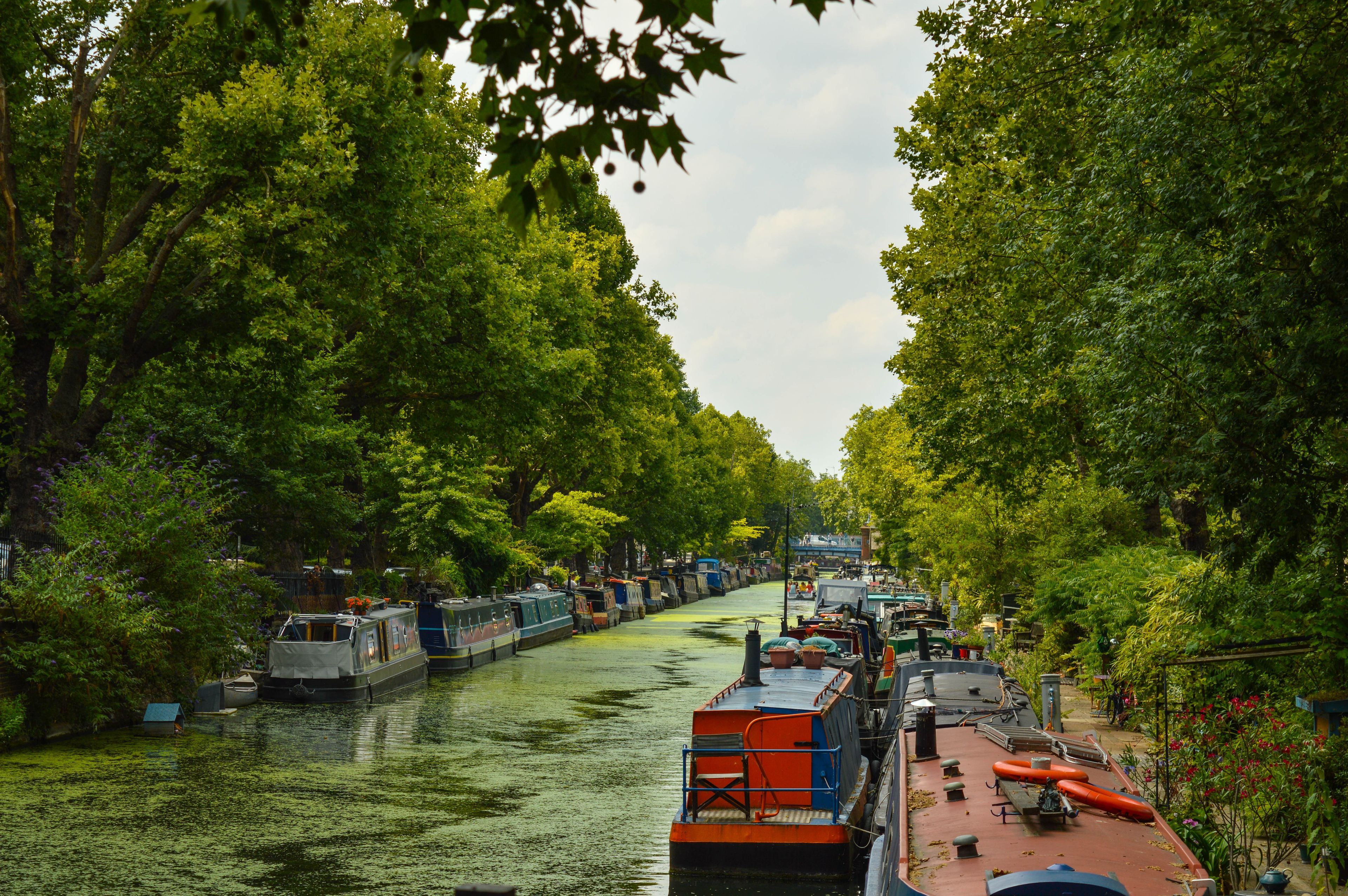Un estrecho canal bordeado de barcos y árboles verdes frondosos.