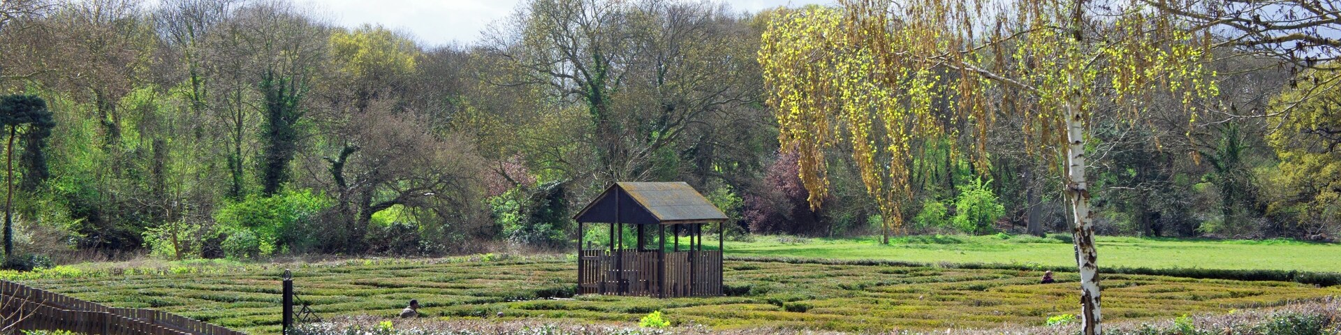 The Millenium Maze in Brent Lodge Park in Hanwell