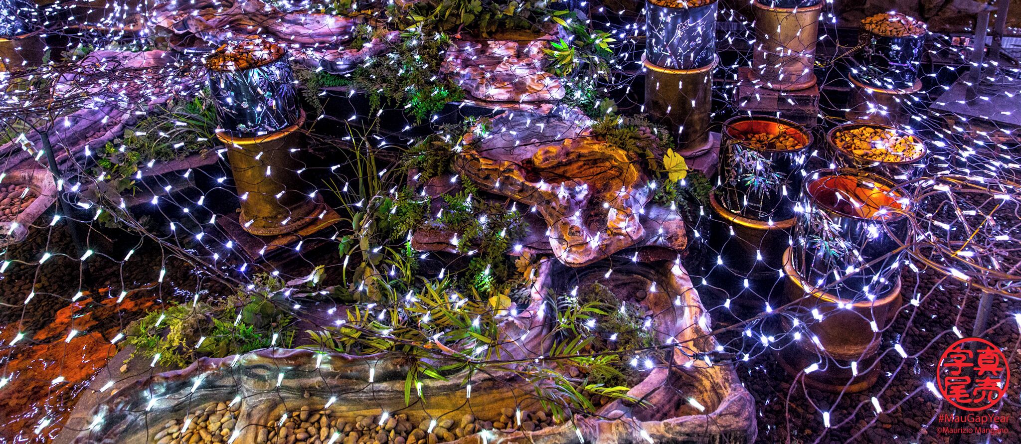 xmas lights in japanese style