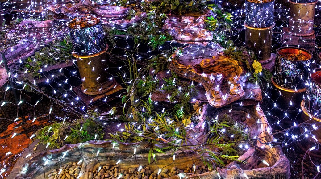 xmas lights in japanese style