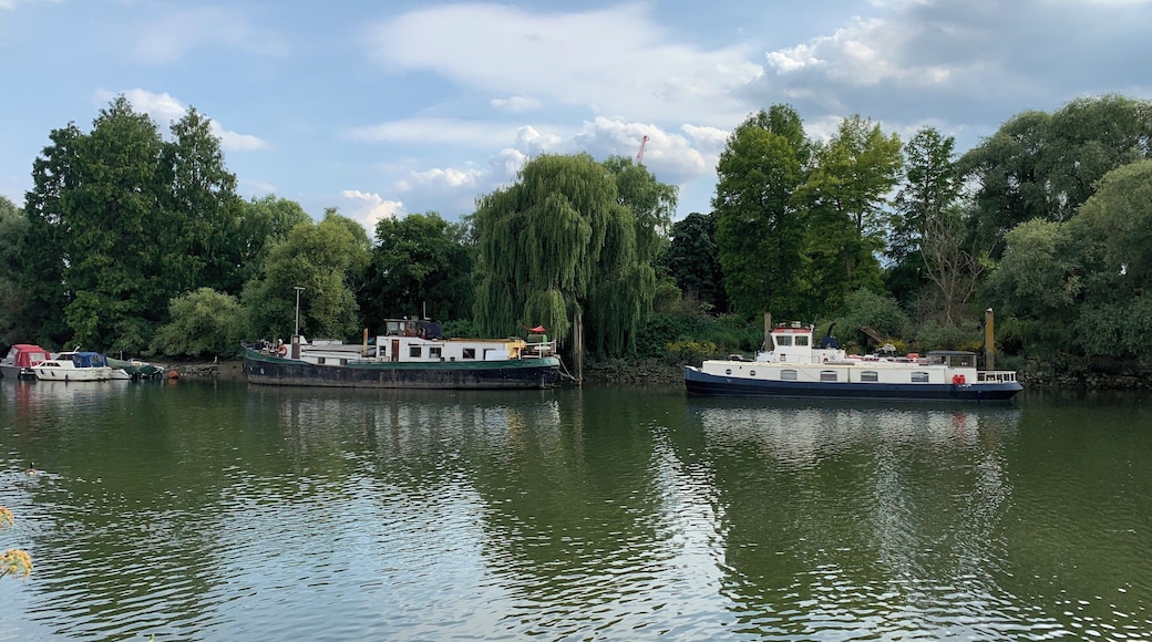 River Thames at Richmond.