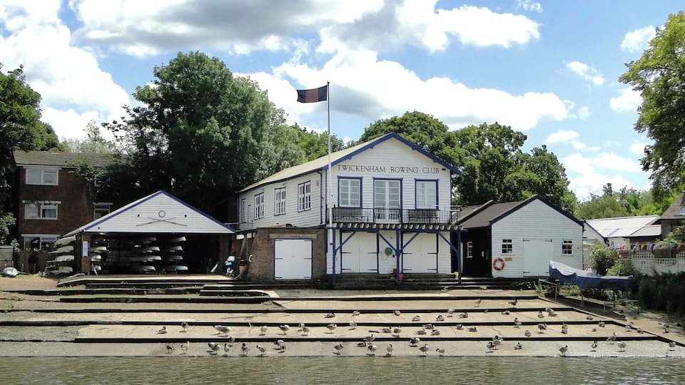 A rowboat club with a flag, steps leading to the water, and seagulls on the steps.