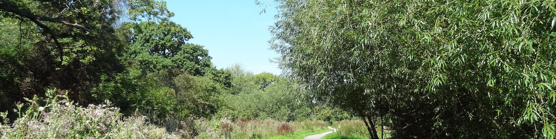 Cranebank Local Nature Reserve, Hatton, Hounslow, London