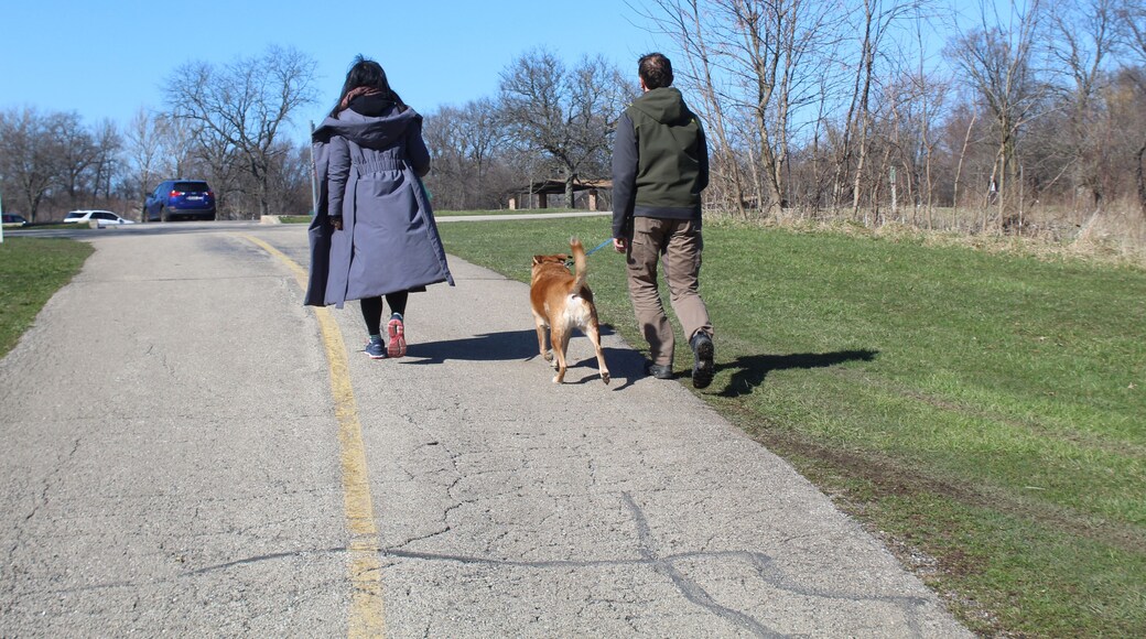 Man and woman walking a dog on the North Branch Trail at Bunker Hill Woods in Chicago