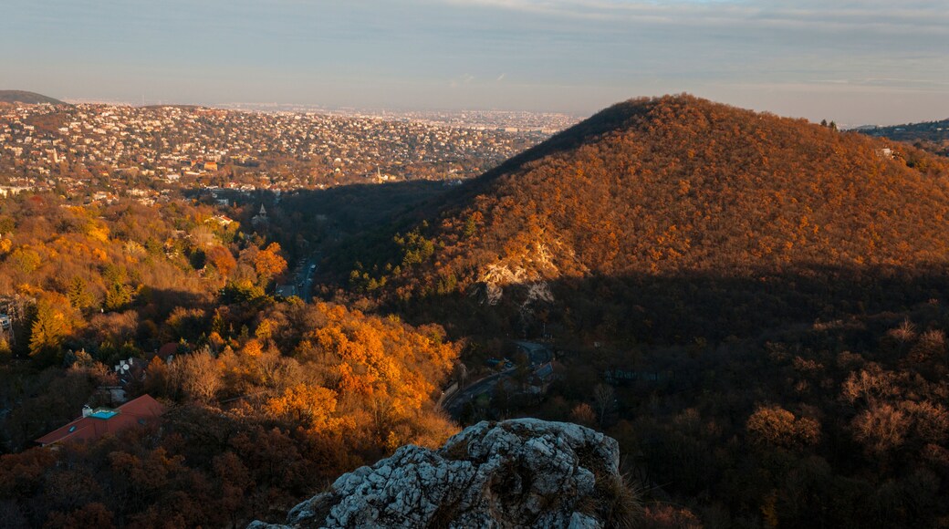 Normafa tower look at Budapest city autumn landscape
