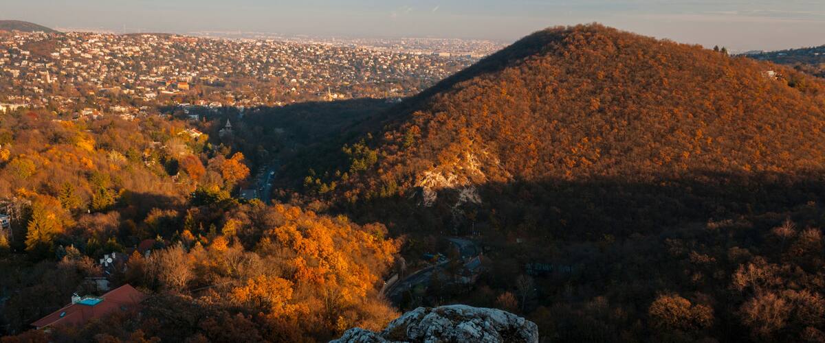 Normafa tower look at Budapest city autumn landscape