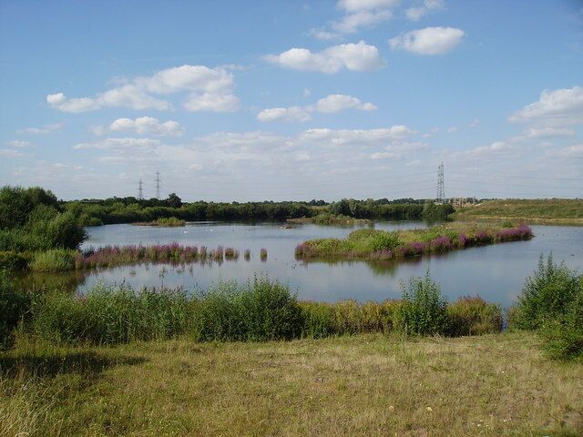 Un lago tranquilo rodeado de áreas cubiertas de hierba y algunas plantas florecientes moradas.