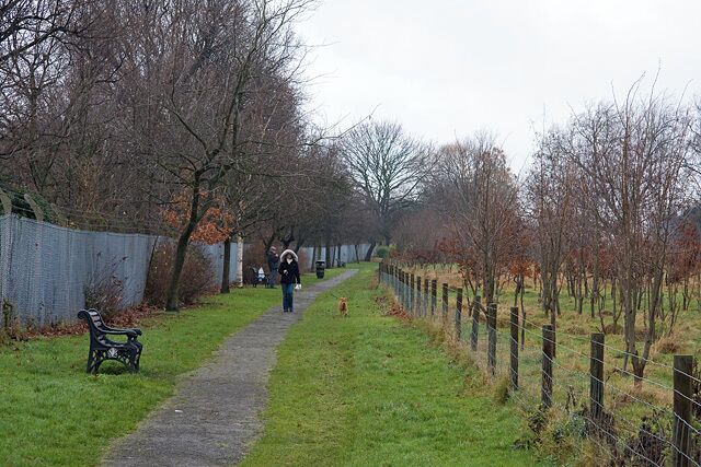 Hendon Park Footpath following the Northern Line between Shirehall Lane and Queen's Road. The area on the right seems to have set aside for a small copse. Several people were out and about with their dogs, but it wasn't the nicest day for walkies!