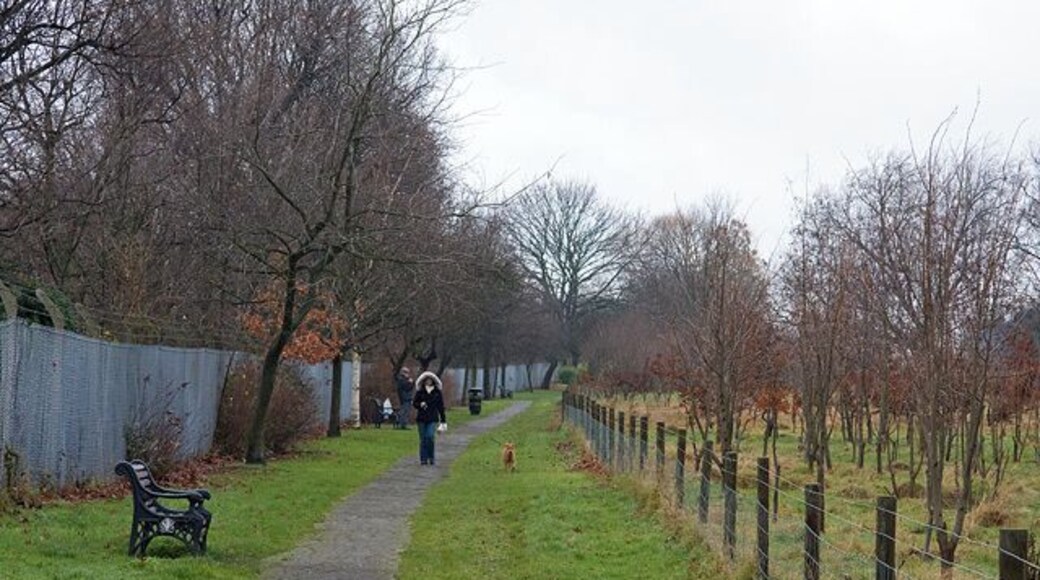 Hendon Park Footpath following the Northern Line between Shirehall Lane and Queen's Road. The area on the right seems to have set aside for a small copse. Several people were out and about with their dogs, but it wasn't the nicest day for walkies!