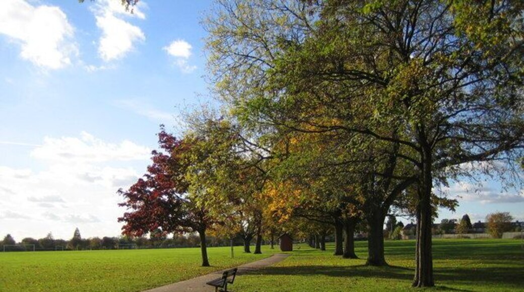 Seven Kings Park Autumn colours displayed in these trees in the park which is maintained by the London Borough of Redbridge.