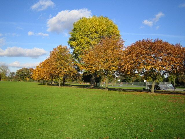 Seven Kings Park Autumn colours displayed in these trees in the park which is maintained by the London Borough of Redbridge.