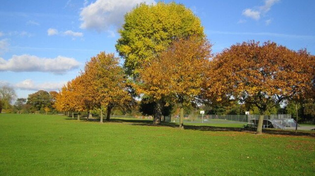 Seven Kings Park Autumn colours displayed in these trees in the park which is maintained by the London Borough of Redbridge.